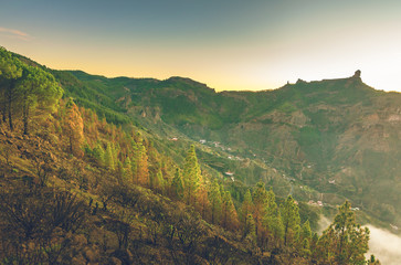 Landscape of mountains and the roque nublo. With a sunset over the forest of pines and trees. In Gran Canaria.