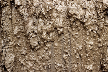 Wet mud