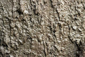 Wet mud