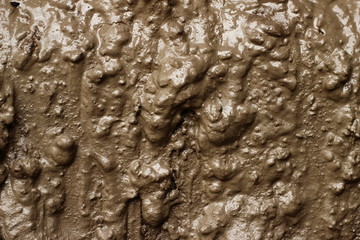 Wet mud
