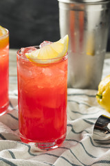 Homemade Sloe Gin Fizz