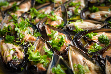 Cozze fresche con olio, prezzemolo e aglio 