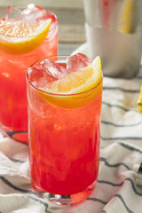 Homemade Sloe Gin Fizz