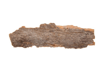 piece of dry tree bark, isolated on white