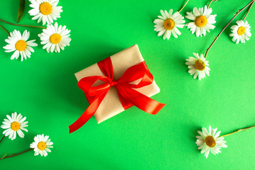 Gift box with red ribbon  and chamomile on the green background.Top view.