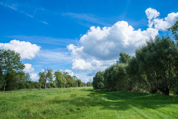 Small country farmhouse out on the field. Dobele, Latvia.