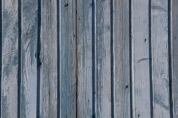 Fototapeta premium Texture of a wooden blue old wall. Texture of an old fence