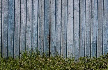 Texture of a wooden blue old wall. Texture of an old fence
