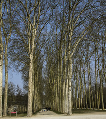 VERSAILLES  VERSALHES PARIS