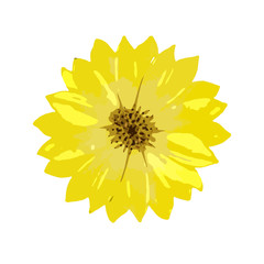 yellow flower in trendy flat style isolated on white background. vector illustration