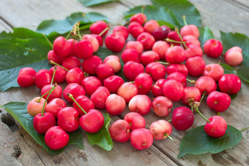 Frische Süßkirschen