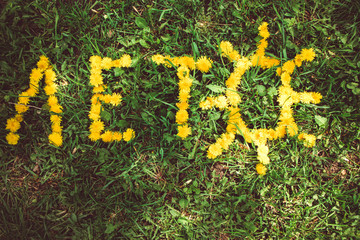 Жёлтая надпись Лето  из одуванчиков выложена на зеленом лугу