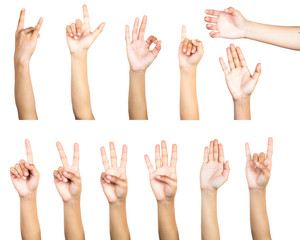 Clipping path of multiple female hand gesture isolated on white background. Isolation of hands...