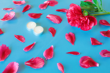 red, pink peony, with candles, peony petals on a blue background
