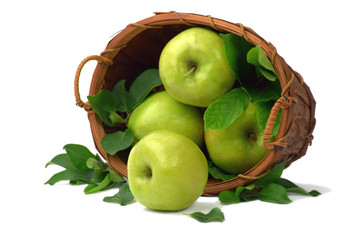 Ripe apples are scattered out of the basket. Isolated on white. Close-up. Harvest.