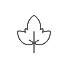 Leaf line icon