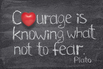 courage not fear heart