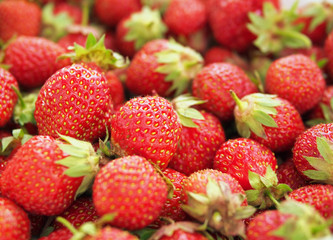 Ripe berries of strawberry as background