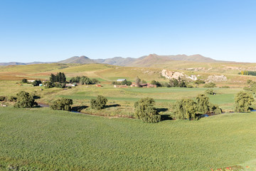 Obraz premium Farm landscape next to the Bell River near Rhodes