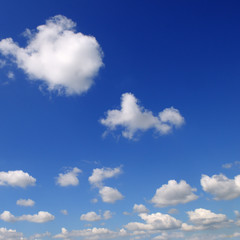 Light clouds in the blue sky. A bright sunny day.