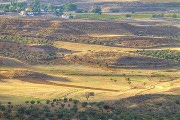 Fototapeta na wymiar Paisaje de campos en la Alcarria en Guadalajara (Castilla La Mancha, España)