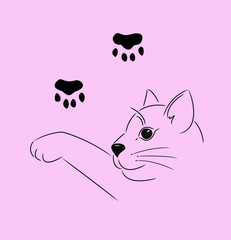 pink cat illustration