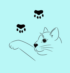 cat blue illustration