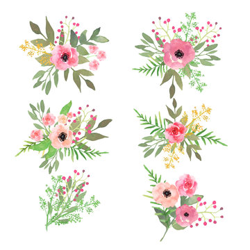 Floral set. Collection with flowers, drawing watercolor. Vector