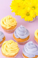 Cupcakes decorated with yellow and violet cream and chrysanthemums on violet pastel background for greeting card with copyscape.