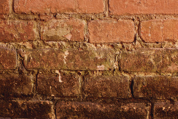 Old brick wall texture