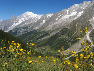 Alpy, Włochy, Tour du Mont Blanc - wzdłuż  masywu Mont de la Saxe, widok z żółtymi kwiatami © Iwona