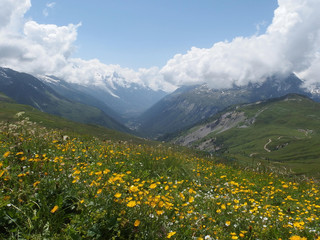 Fototapeta na wymiar Alpy, Tour du Mont Blanc - widok z żółtymi kwiatami na przełęczy Col de Balme na granicy francusko-szwajcarskiej