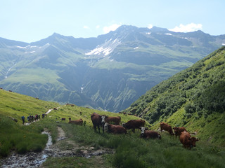Alpy, Francja, Tour du Mont Blanc -  ponad doliną Les Contamines © Iwona