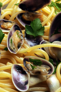Spaghetti con Donax trunculus Cucina italiana Italienische K&uuml;che Pasta e arselle wedge clam Italian cuisine Coquina Tellina Arsella Обрезанный донакс clams Espagueti Спагетти le telline