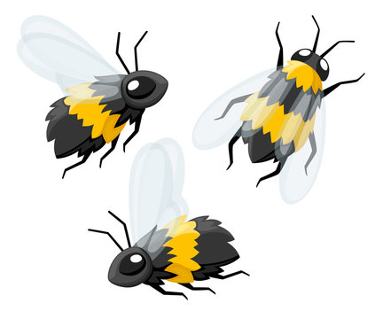 Collection of three cartoon cute bee. Friendly bees. Fly insect wildlife  object. Flat vector illustration isolated on white background Stock Vector  | Adobe Stock