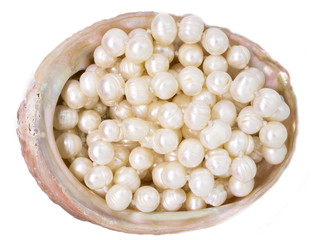 Natural raw scallop with pearl beads on white background