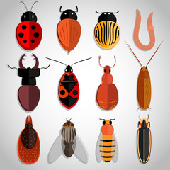 Fridge magnets: ladybug (ladybird), cockchafer (maybug), Colorado beetle, stag-beetle, soldier beetle, ant pselaphinae, fly, mite, bee, firefly, cockroach, worm. Design of vector illustrations.
