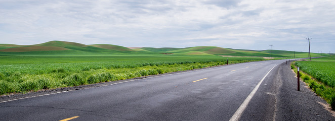 Road through the Palouse landscape