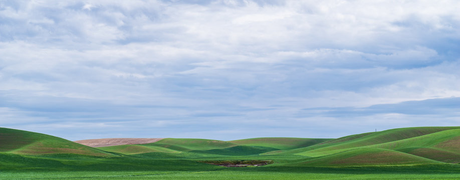 Palouse Landscape in spring