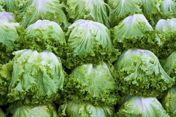 lettuce on street market