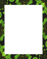 White Frame with Decorated Borders