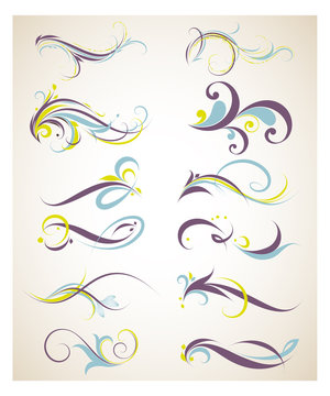 Set of floral curls for design, frames, cards, invitations.