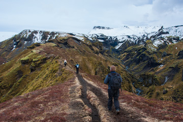 mountain hiking in iceland - 208441904