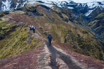 People hiking in Iceland wilderness  - 208441910