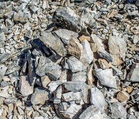 A bunch of rocky ground in nature