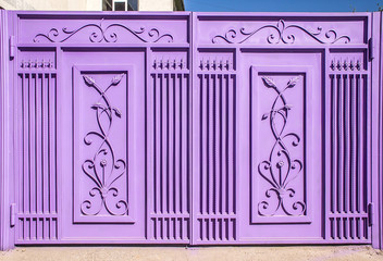 Painted metal gates at home