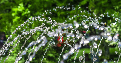 Spray fountain in City Park in summer