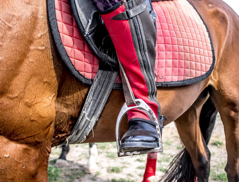 Foot in the Stirrup of the horse