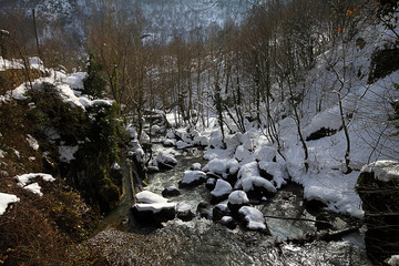 a snowy day outside the city