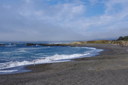 Mackerricher State Park Fort Bragg California